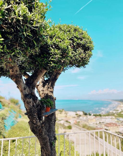 Lavinum Villa Monte di Procida Buitenkant foto